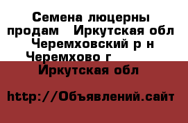 Семена люцерны продам - Иркутская обл., Черемховский р-н, Черемхово г.  »    . Иркутская обл.